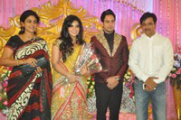 Bharath and Jeshly Wedding Reception Photos